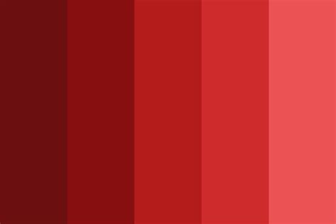 Dark Red Color Swatch