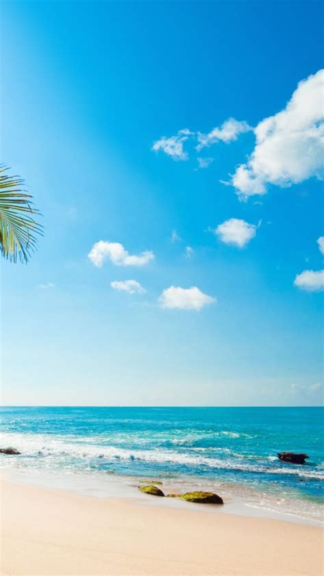 Tropical Sunshine Iphone Wallpapers With Images Beach