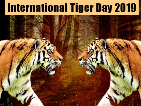 Lecture on saving tiger 131; International Tiger Day 2019: History And Significance - Boldsky.com