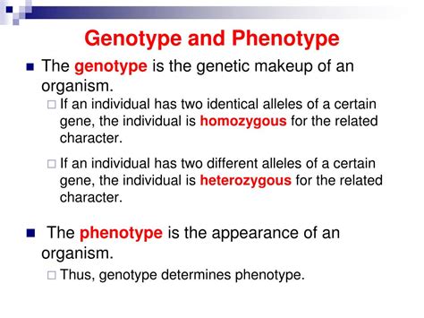 Ppt Genotype And Phenotype Powerpoint Presentation Free Download Id3712129
