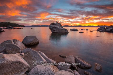 Bonsai Rock Lake Tahoe Norcal Scapes