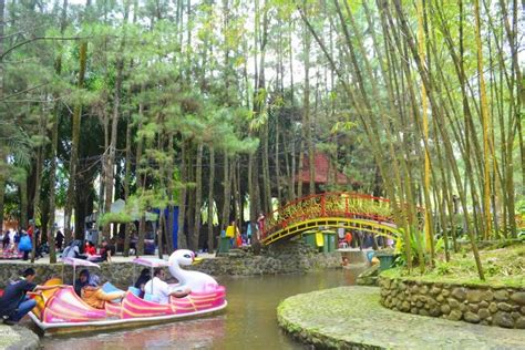Tempat Wisata Seru Di Puncak Bogor