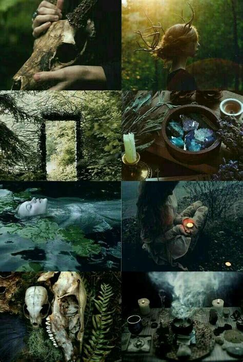 Forest Witch Forest Witch Aesthetic Green Witch Aesthetic Magic