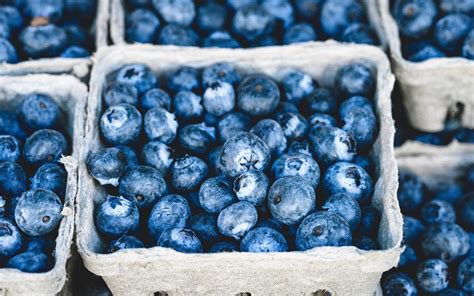 Eating Blueberries Every Day Improves Heart Health Heartgym