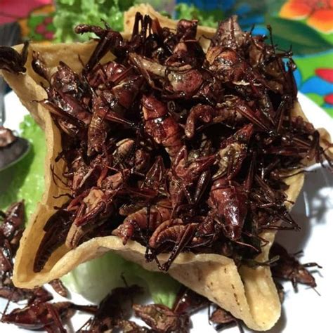 This Might Be The Tastiest Insect Dish Mexican Food Recipes Food Gastro
