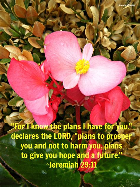 Flowery Blessing For I Know The Plans I Have For You Declares The