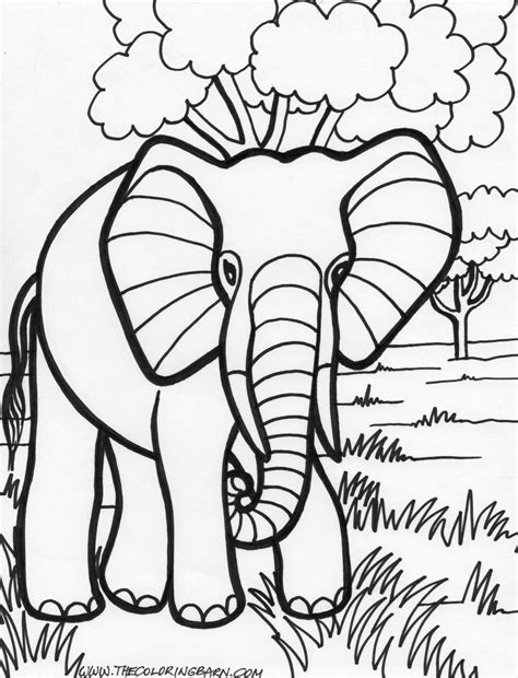 An elephant seen from the front. transmissionpress: 14 Elephant Coloring Pages for Kids