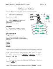 We have made it easy for you to find a pdf ebooks without any digging. Biology 1 Unit 2 A Dna Mastery Unit Worksheet 1 Dna Structure - DNA Informasi