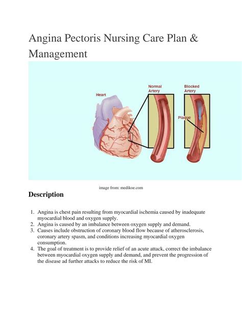 Solution Angina Pectoris Nursing Care Plan Management Studypool