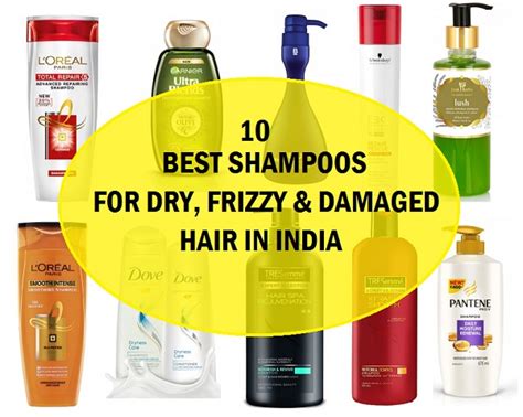 15 Best Shampoos Of 2022 Top Shampoo Brands For Every Hair Type Texture