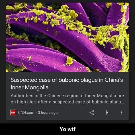 Suspected Case Of Bubonic Plague In Chinas Inner Mongolia Authorities