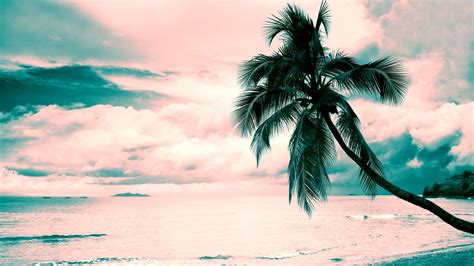 3087551 Beach Sea Candy Floss Clouds Nature Ocean Pink Pink Sky