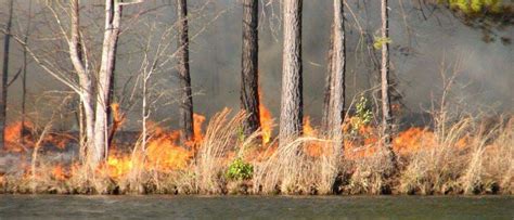 Over 110 Fires Burn Hundreds Of Acres Throughout The State