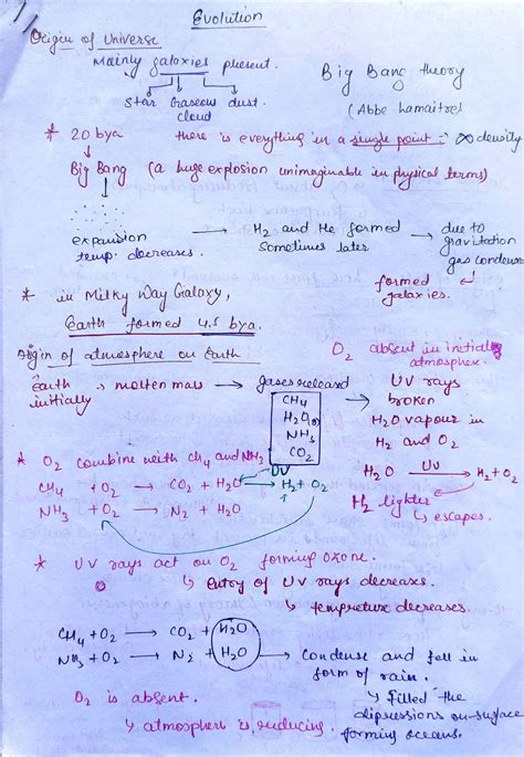 Evolution Class 12 Evolution Class 12 Biology Notes And Questions