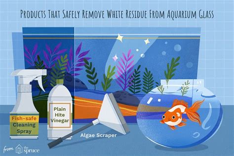 How To Remove And Prevent White Residue On Aquarium Glass