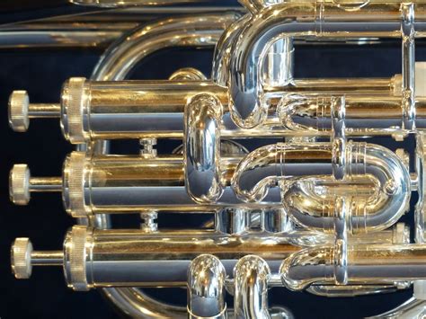 Brass Instruments Music Showcase