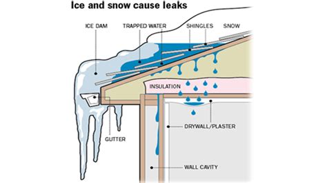 Tips To Prevent Leaks And Ice Damming On Your Roof This Winter Ctv News