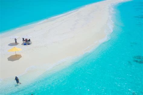 Sand Bank Picnic Dhigufaru Island Resort Maldives