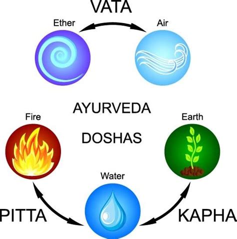 A Summary Of The Three Doshas Vata Pitta And Kapha