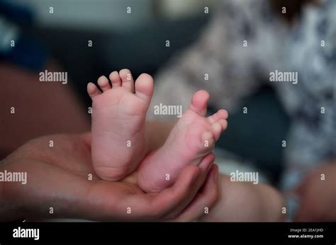 Hand Holding Baby Feet Hi Res Stock Photography And Images Alamy