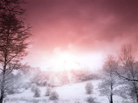 Pink Winter Wallpapers Top Free Pink Winter Backgrounds Wallpaperaccess