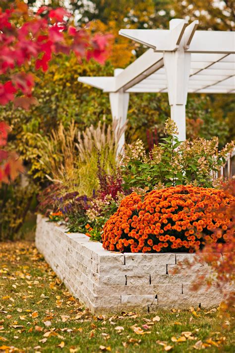 Outdoor Fall Decorating With Mums Midwest Living