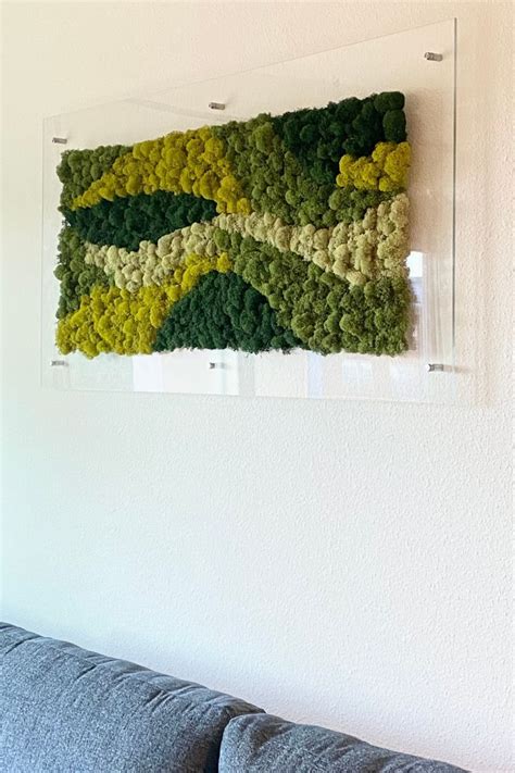 How To Create A Moss Art On A Floating Acrylic Frame Moss Wall Art