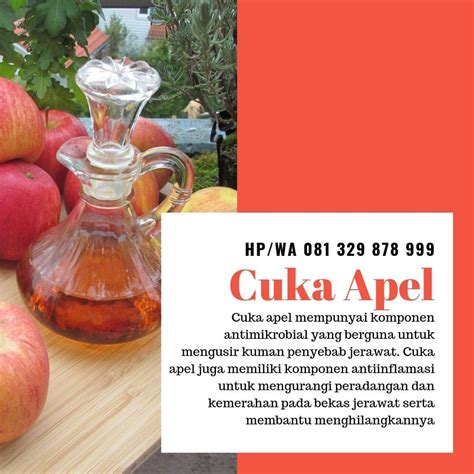 Dibandingkan tahun sebelumnya, harga melanox cream dan produk melanox lainnya ada yang naik dan turun. Obat Menghilangkan Bekas Jerawat Yang Ampuh | Jerawat ...