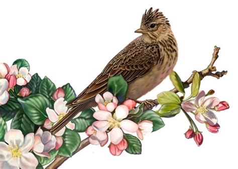 Ilustrasi ialah salah satu karya seni gambar atau seni lukis yang diabadikan untuk kepentingan lain yang akan dapat memberikan penjelasan atau mengiringi suatupengertian, seperti cerpen di majalah. Pengertian, Fungsi dan Jenis Ilustrasi Dilengkapi dengan ...