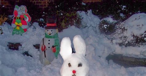 Bunnymond Snow Bunnies