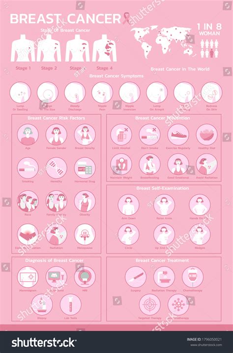 Stages Breast Cancer 346 Images Photos Et Images Vectorielles De Stock Shutterstock