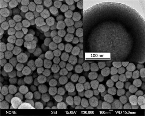 Sem Micrograph On Nanombg Spheres The Inset Shows A Tem Image
