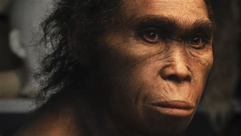 Homo Naledi Le Grimpeur Qui Nétait Plus Un Singe Pour La Science