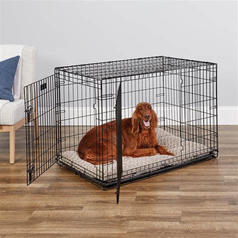 Midwest Icrate Double Door Fold And Carry Dog Crate 42 In