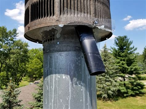 Internet access in macomb, michigan. Bats in the Chimney Macomb County MI - Michigan Bat ...