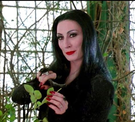 New Morticia Angelica Huston Morticia Addams