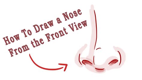 The nostrils are not paper thin, so an indication of the front planes is crucial to give them some video how to draw a nose. How to Draw a Nose (Front View) - YouTube