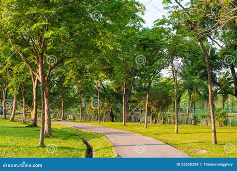 Paved Path Curving Through The Park Peaceful Pathway Stock Photo