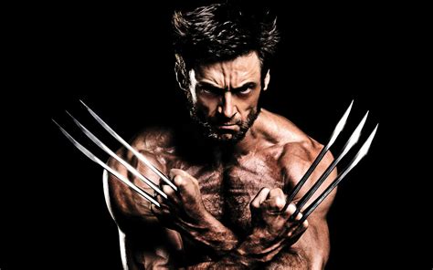 The Meaning And Symbolism Of The Word Wolverine