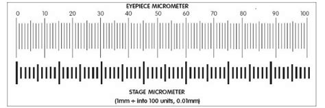Micrometer Calibration Ny Microscope Co