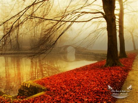 Download Beautiful Autumn Season Wallpaper Hd By Stacyf Beautiful