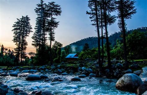 Unknown Majestic Bangus Valley Of Kashmir