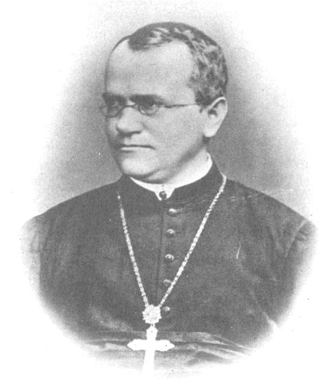 Openscientist Gregor Mendel Father Of Genetics And Son Of Citizen