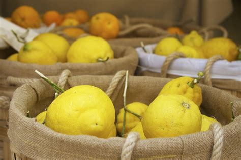 Lemons Market Fruit Free Photo On Pixabay Pixabay