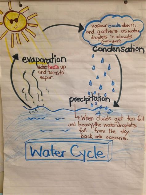 Water Cycle Anchor Chart Science Anchor Charts Science Lessons