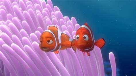 Finding Nemo Finding Nemo Image 3561573 Fanpop