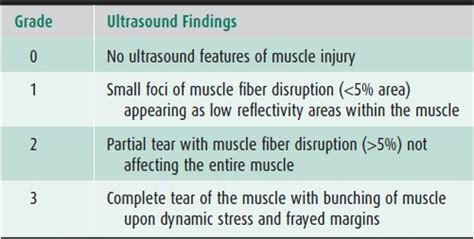 Musculoskeletal Ultrasound Radiology Key