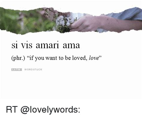 Si Vis Amari Ama Phr If You Want To Be Loved Love Lat Word Stuck Rt