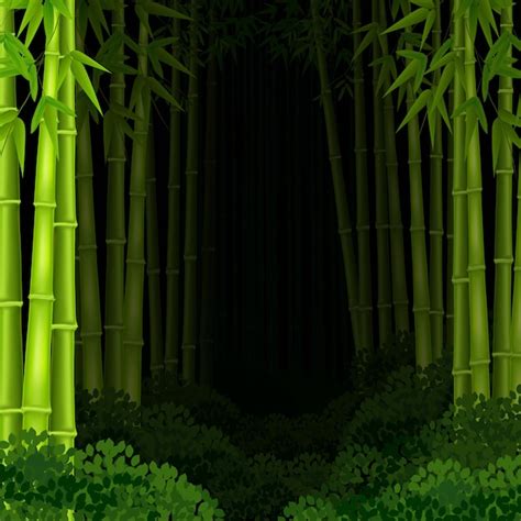 Premium Vector Background Bamboo Forest At Night