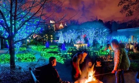 Atlantas Botanical Gardens Holiday Nights Lights Warms The Citys